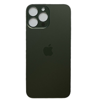 Задняя крышка iPhone 13 Pro Max (green)